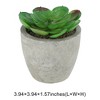 Unique Bargains Artificial Plants Mini Frost Lotus in Pulp Plastic 2.76"x2.76"x2.95" 1Pcs - 3 of 4