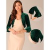 Allegra K Women's Velvet Shrug 3/4 Sleeve Open Front Ruffled Cropped Cardigan - 2 of 4