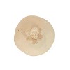 Decorative Pomegranate Cream Paper Mache by Foreside Home & Garden - 4 of 4
