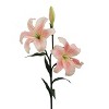 Floral Home 35" Pink White Tiger Lily - 12-Piece - 2 of 2