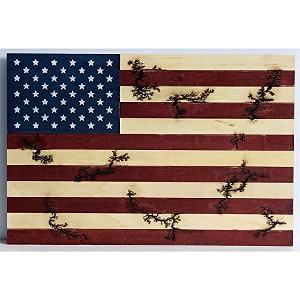 TX USA Corporation Lichtenburg Wood Burning American Flag Wall Decor - Multicolored - 1 of 1