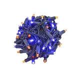 Novelty Lights LED Christmas String Lights Light Set 100 Mini Bulbs  (Black Wire, 34 Feet)