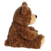 Aurora Large Bear Hugs Snuggly Stuffed Animal Brown 14" - 3 of 4