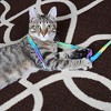 Cat Dancer Cat Toy Cat Charmer Tie Dye Wand Teaser 1 Pack - 4 of 4