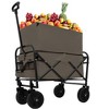 Grungis Expandable Folding Wagon for Camping,Rolling cart with Dual-Layer Storage,All Terrain Beach Wagons for Camping Shopping - 4 of 4