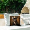 Stupell Industries Cowboy French Bulldog - 2 of 3