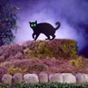 The Lakeside Collection Silhouette Cats - 2 of 3