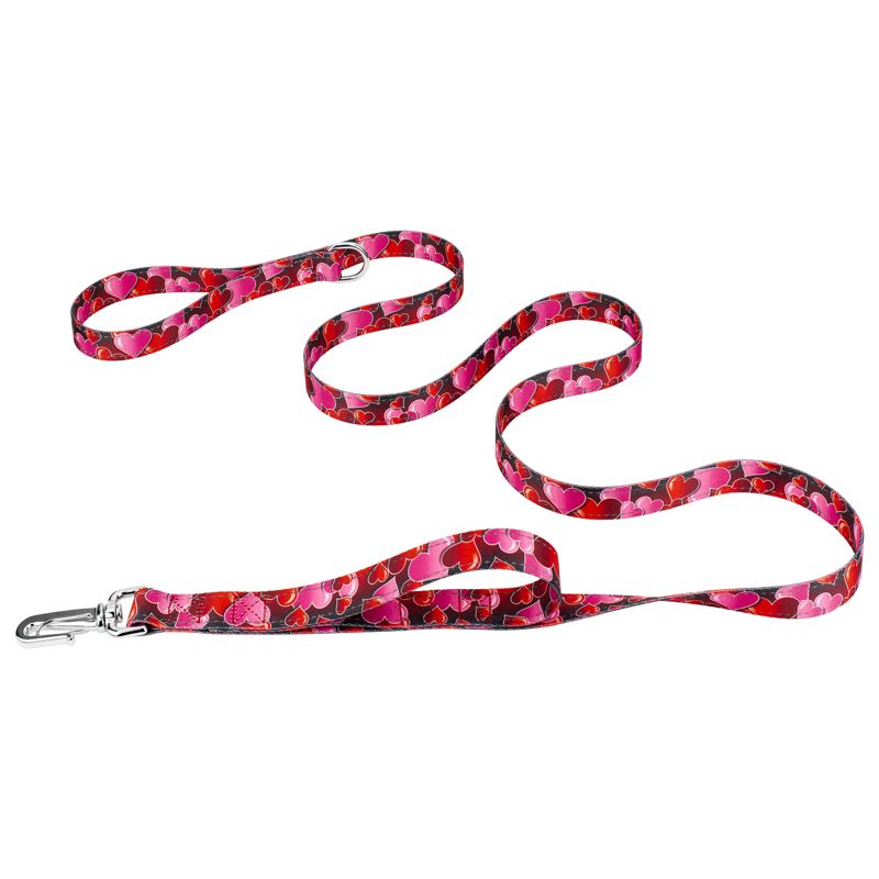 Country Brook Petz Romantic Hearts Deluxe Reflective Dog Leash, 1 of 5