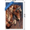 Trends International Laurie Prindle - War Pony Framed Wall Poster Prints - 3 of 4
