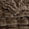 50"x60" Faux Fur Throw Blanket - Isla Jade - 3 of 4