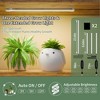 Chic Crate 71 " Indoor Plant Stand with Grow Light – 8‑Tier Heavy‑Duty Metal Shelf for Living Room, Balcony & Garden - 3 of 4