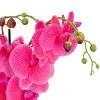 21" Artificial Purple Orchid in Wood Box - National Tree Company - 3 of 3