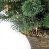 4.5' Prelit Cashmere Cone & Berry Entrance Tree Clear Lights - National Tree Company - 4 of 4
