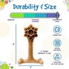 Honey Bone Dental Flower Tower eChew Ultra Durable Nylon Dog Chew Toy - XL - 4 of 4