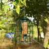 Costway Squirrel-proof Caged Tube Wild Bird Feeder Outdoor Metal Seed Guard Deterrent - 3 of 4