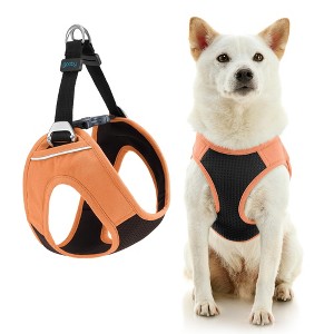 Gooby Escape Free Easy Fit Plus Harness Atlanta Peach, Small - 1 of 1