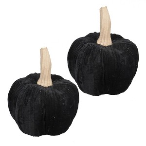 Whisen Velvet Large Pumpkin, Holiday Halloween Decoration, Set of 2 - Black - 1 of 4