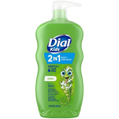 Dial Melon 2-in-1 Body and Hair Wash for Kids - 24 fl oz