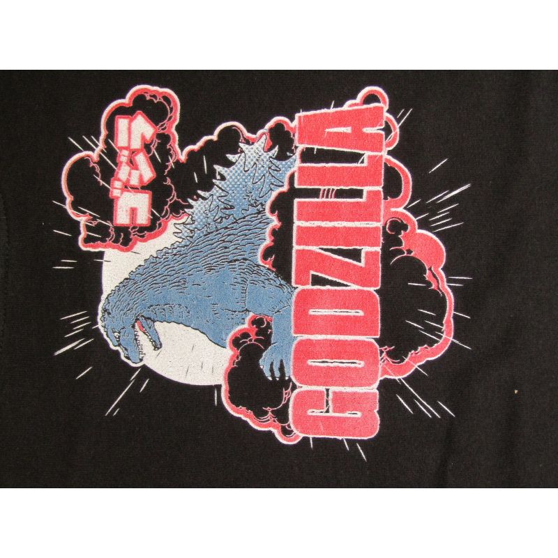 Godzilla Classic Art and Logo Youth Black Hoodie, 2 of 3