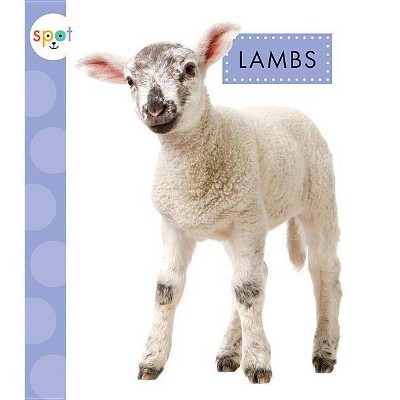 Lambs - (Spot Baby Farm Animals) by  Anastasia Suen (Paperback)