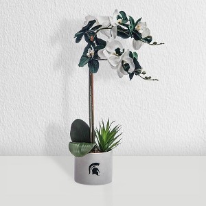 Forever Leaf Michigan State Faux Orchid, Indoor Artificial Plant for Home Decor - 1 of 4