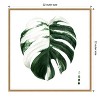 Amanti Art Variegated Monstera II by Grace Popp Canvas Wall Art Print Framed 22 x 22-in. - 4 of 4