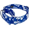 Country Brook Petz 1 1/2 Inch Royal Blue Hawaiian Martingale Dog Collar - image 4 of 4