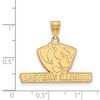 Black Bow Jewelry 10k Yellow Gold Eastern Illinois Panthers NCAA Medium Pendant - 2 of 3