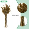 Unique Bargains Dried Grass Chasmanthium Oat Home Decor Flower Bouquet 1 Pc - 3 of 4
