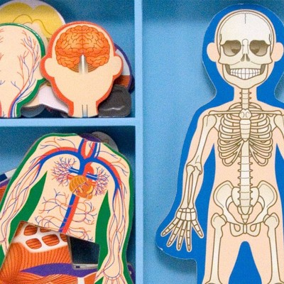 melissa and doug anatomy