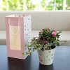 Mother's Day Live Plants Rose Garden Gift Bag - 4 of 4