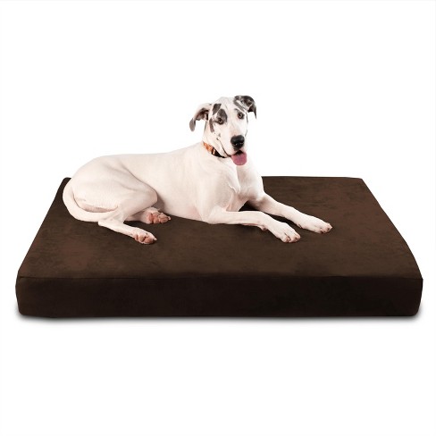 Big barker 7 orthopedic best sale dog bed