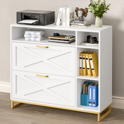 Lateral File Cabinet with 2 Drawers and Open Shelves, Wood Large Printer Stand, White