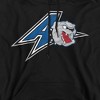 University of North Carolina Asheville Official Distressed Primary Logo Adult Pull-Over Hoodie - 2 of 4
