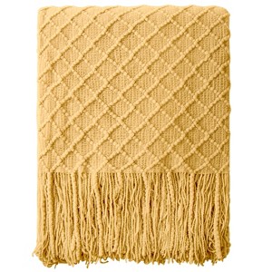 Acrylic Knitted Throw Blanket, Lightweight Soft Woven Blanket with Tassels, Decor for Couch & Bed, 51 x 67 inches - NTBAY - 1 of 4