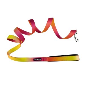 Doggie Design American River Ombre Leash - Raspberry Pink and Orange - 1 of 3
