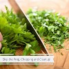 Dried Parsley Flakes by It's Delish, 6 Oz Jumbo Reusable Container - 4 of 4