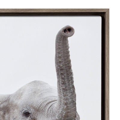 Safari Animal Collection Framed Canvas Wall Art Set of 6