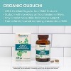 Himalaya Organic Guduchi for Active Immune Support and Cellular Defense, 700 mg, 60 Caplets, 1 Month Supply - 3 of 4