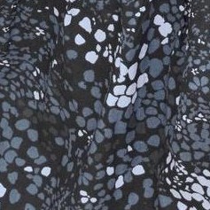 dappled dots c02