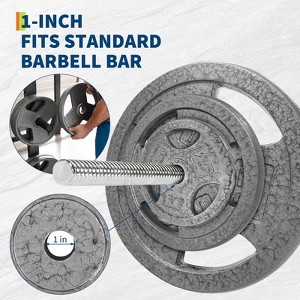 Cast Iron Barbell Plate 1 Inch Inner Diameter, Weightlifting Plate, Strength Training Plate, Gym Equipment Plate, Fitness Weight Plate - 1 of 4