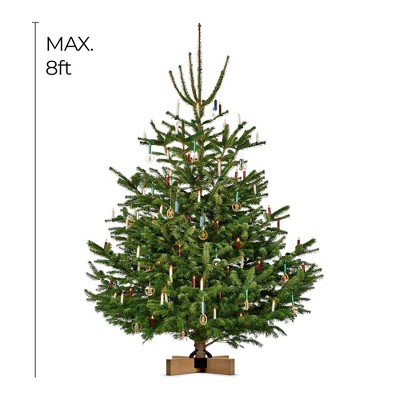 Kopenhagen Modern Oak and Steel Christmas Tree Stand