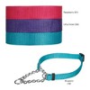 Guardian Gear Adjustable Martingale Choke-Style Dog Collar Pink 13-18 Inch - 4 of 4