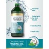 Carlyle Pulling Oil for Teeth & Gums | 16 Fl Oz Pack of 2 | Coconut and Mint - 4 of 4