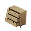 VYNXARIA 4 Drawers Rattan Cabinet,for Bedroom,Living Room,Dining Room,Hallways,Easy Assembly - 3 of 4