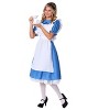 HalloweenCostumes.com Fun Costumes Womens Adult Deluxe Alice Costume. - 2 of 4