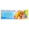 Lipton Iced Tea Bags - 2 of 4