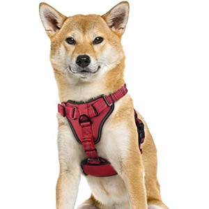 rabbitgoo Dog Harness, No Pull Vest Harness with Shock Reflective Pet Harness for Small Medium Large Dogs - 1 of 1