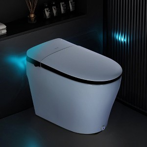 Captiva Designs Bidet Toilet with ADA Compliant Chair Height & 1000g MaP Power Flush & 1.28GPF - 1 of 4