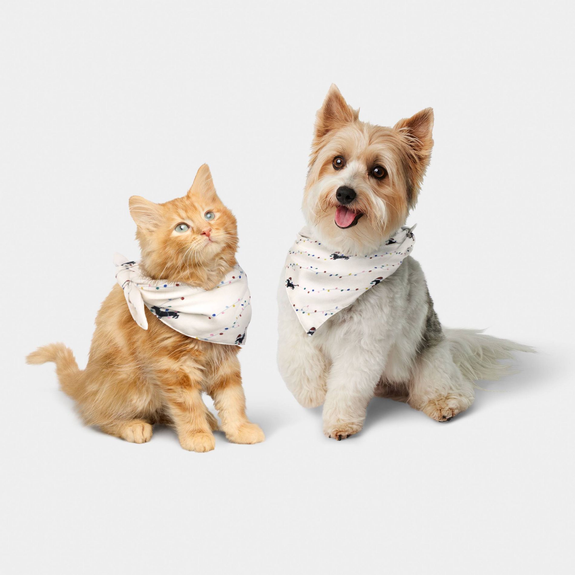 Family Sleep Dachshund Lights Dog Bandana - Wondershop™ Cream One Size Fits Most